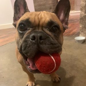 Meet your Posher, Jenna